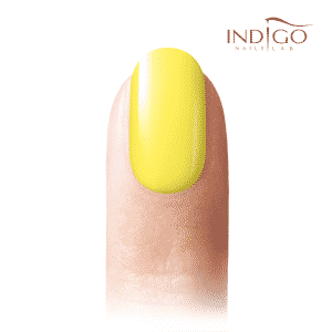 01 Indigo Colour Gel 8ml