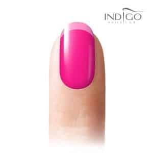 15 Transparent Indigo Colour Gel 8ml