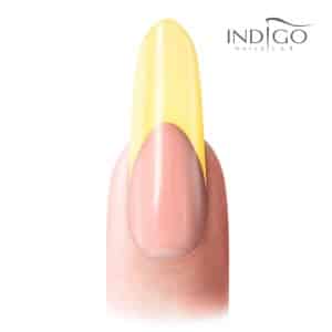Indigo Lemon 01