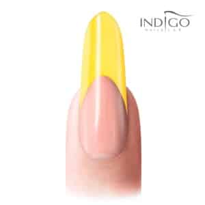Indigo Lemon 03