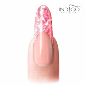 INDIGO Miracle 12